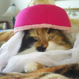 Meet your Posher, Christine